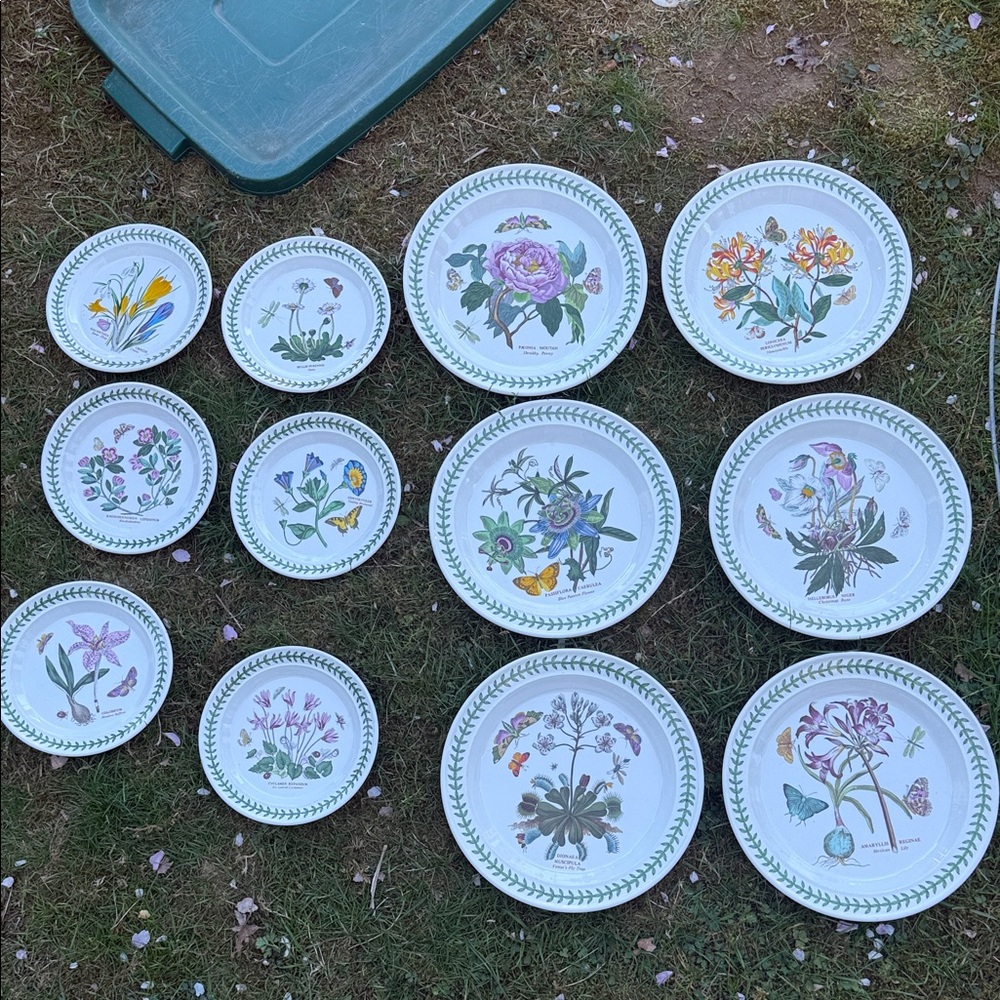 Porcelain Botanical Dinner Plates - White with Multicolor Floral Design